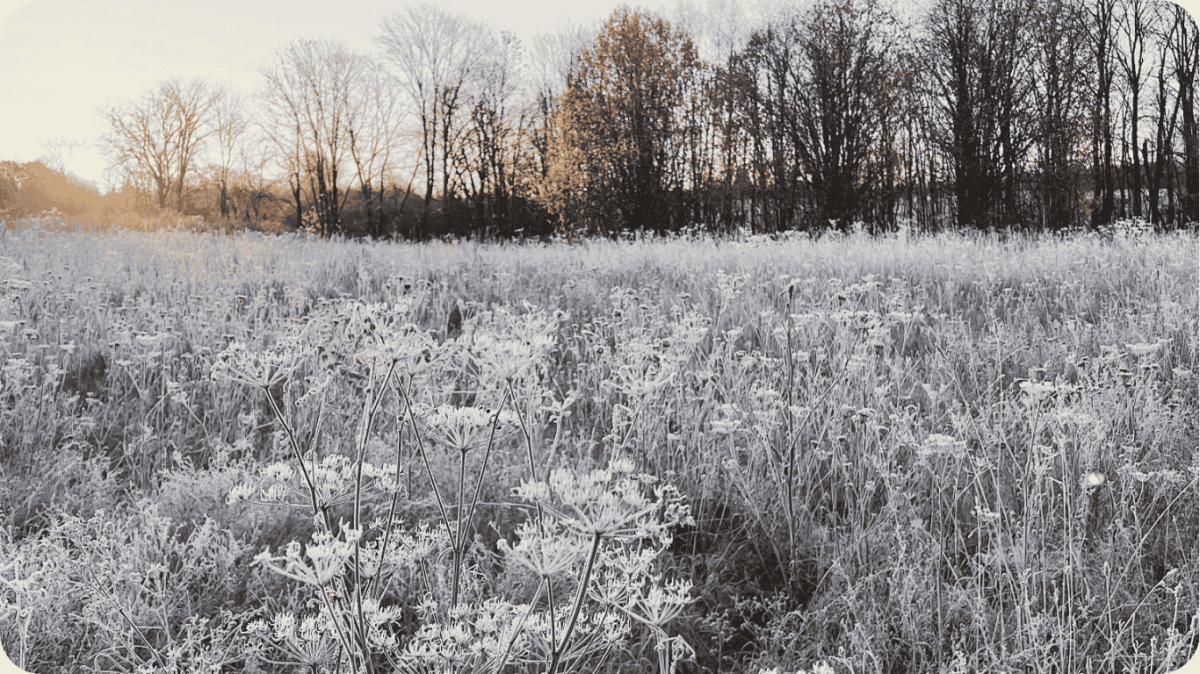 MRAZIVÉ dny v Evropě neznamenají konec trendu globálního oteplování