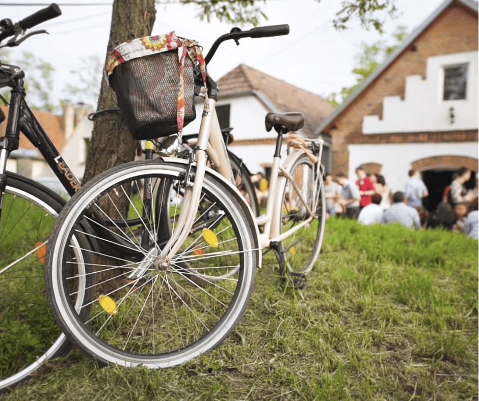 JARO NA KOLECH: Vinařské stezky v srdci Slovácka se otevřou už v dubnu